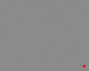 Caméra IP - IT