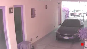 Caméra IP - IN