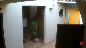 Caméra IP - ES