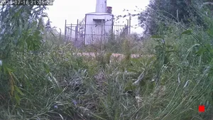 Caméra IP - RU