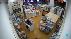 Caméra IP - VN