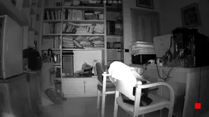Caméra IP - IT