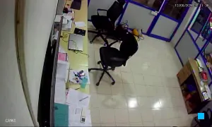 Caméra IP - IN