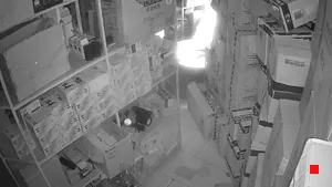 Caméra IP - IR
