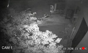 Caméra IP - IT