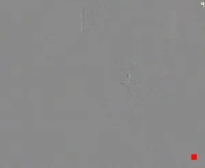 Caméra IP - IT