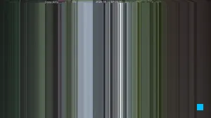 Caméra IP - US