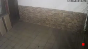 Caméra IP - UY