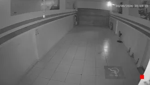Caméra IP - BR