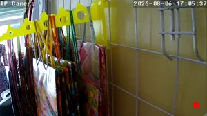Caméra IP - MX