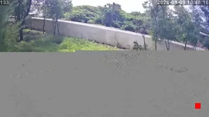 Caméra IP - IN