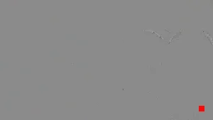 Caméra IP - TR