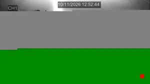Caméra IP - US