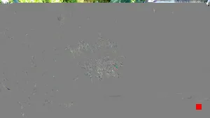 Caméra IP - DE