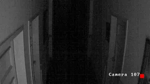Caméra IP - US