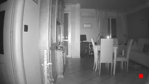 Caméra IP - IT
