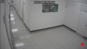 Caméra IP - TW