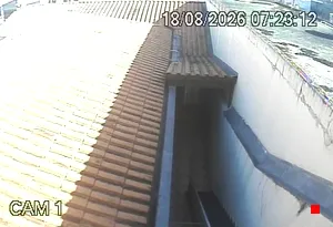Caméra IP - BR