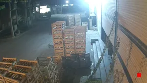 Caméra IP - IR