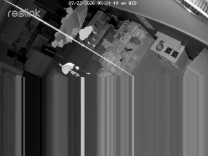 Caméra IP - US