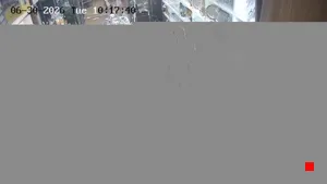 Caméra IP - IR