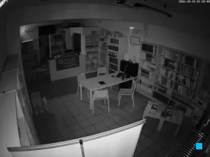 Caméra IP - IT