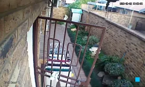 Caméra IP - ZA