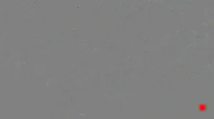 Caméra IP - US