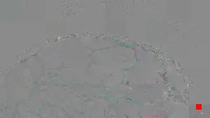 Caméra IP - IT