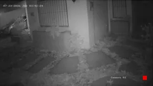 Caméra IP - UY