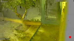 Caméra IP - ES