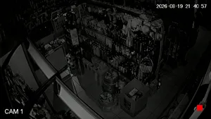 Caméra IP - RU