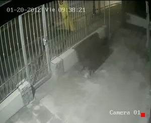 Caméra IP - UY