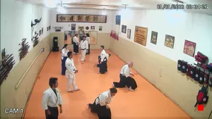 Caméra IP - BR
