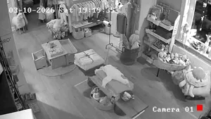Caméra IP - DE