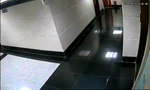 Caméra IP - MO