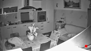 Caméra IP - IT