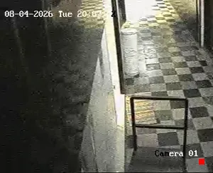 Caméra IP - IN