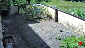 Caméra IP - IN