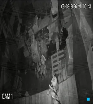 Caméra IP - AR