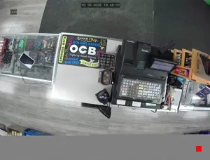 Caméra IP - US