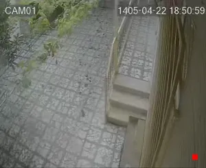 Caméra IP - IR