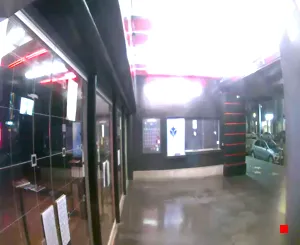 Caméra IP - US