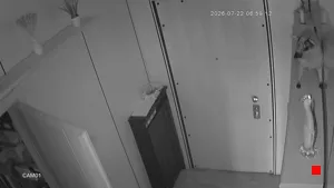 Caméra IP - IT