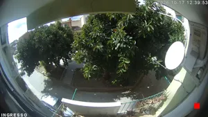 Caméra IP - IT