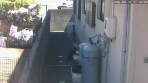 Caméra IP - JP