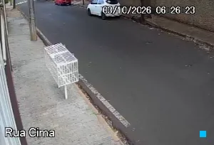 Caméra IP - BR