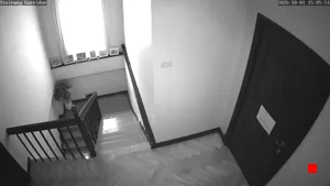 Caméra IP - TH