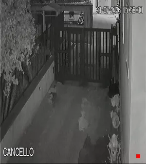 Caméra IP - IT