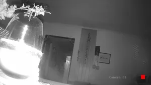 Caméra IP - AR